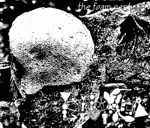 Phyllomedusa : The Foam Nest